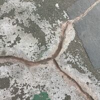 画像1378