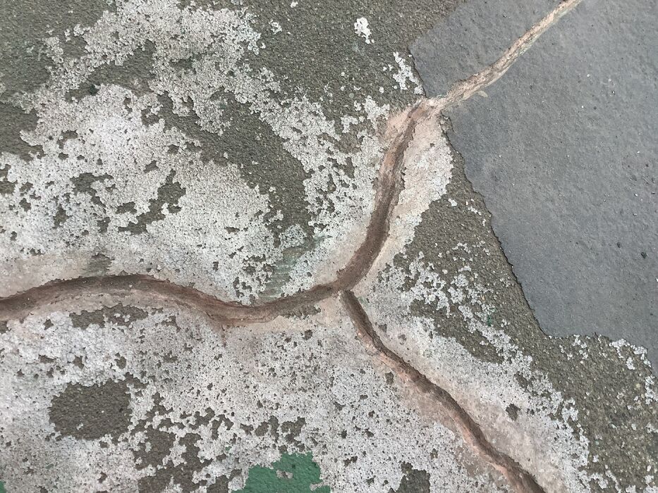 画像1378