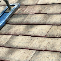 画像1779